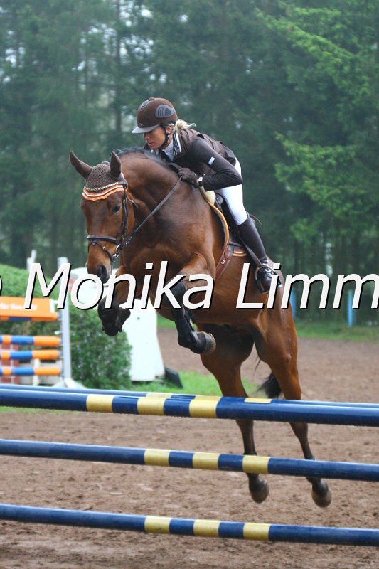 005L4585_Chester_Springpferde A xx.JPG